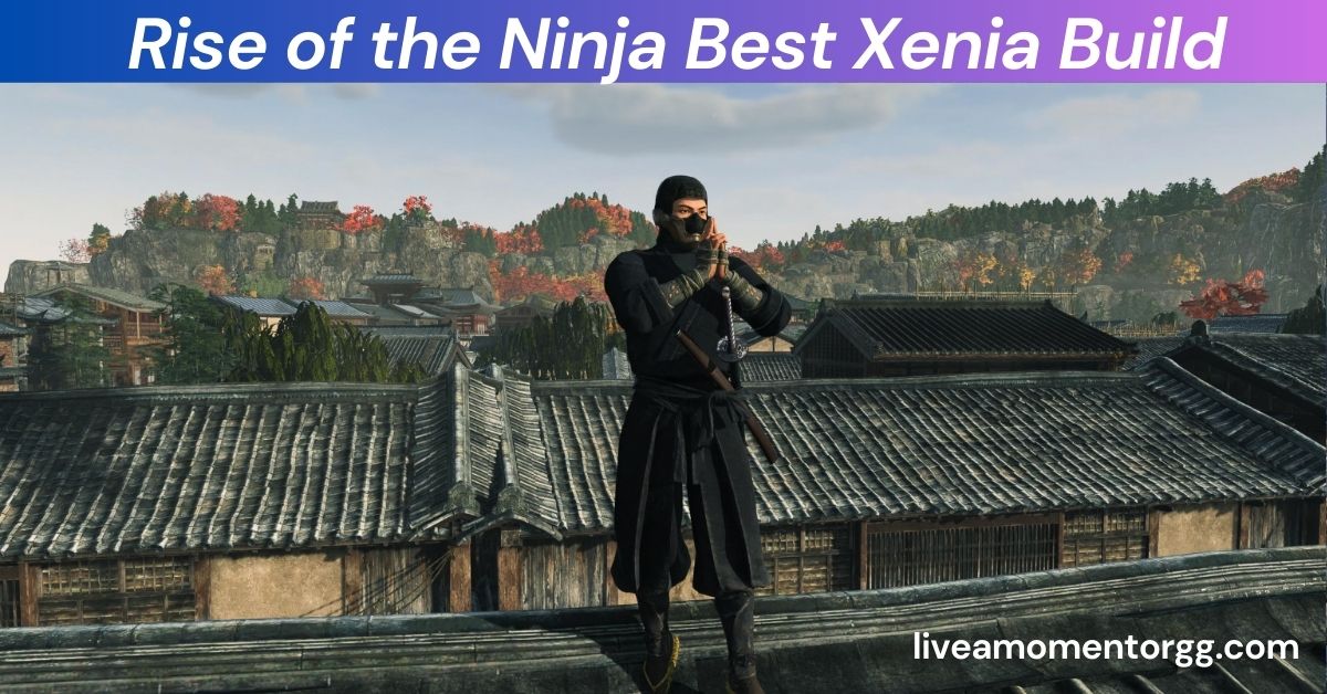 Rise of the Ninja Best Xenia Build