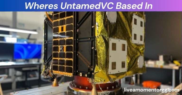 Wheres UntamedVC Based In