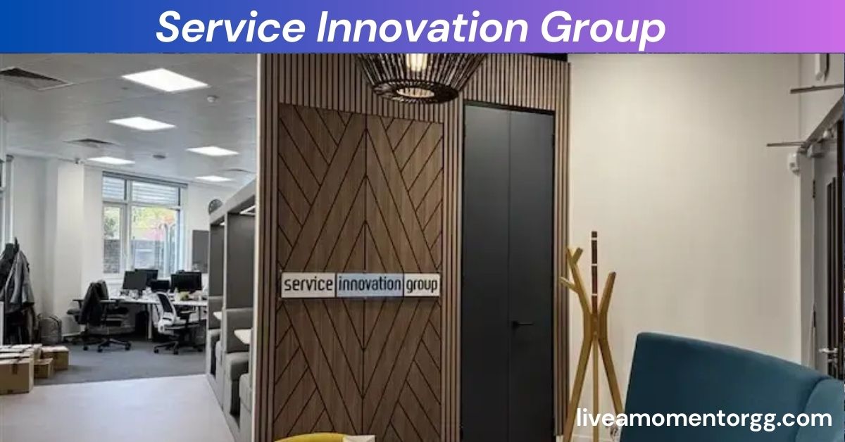 Service Innovation Group